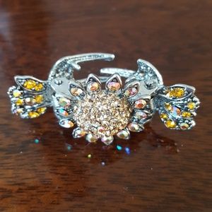 5 Chrystal Hair Clips